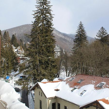 Central Park View Sinaia Bagian luar foto