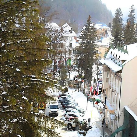 Central Park View Sinaia Bagian luar foto