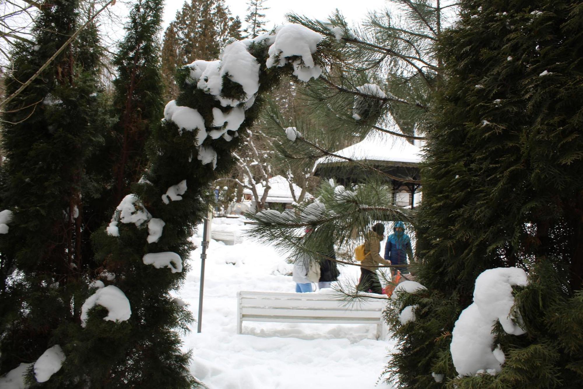 Central Park View Sinaia Bagian luar foto