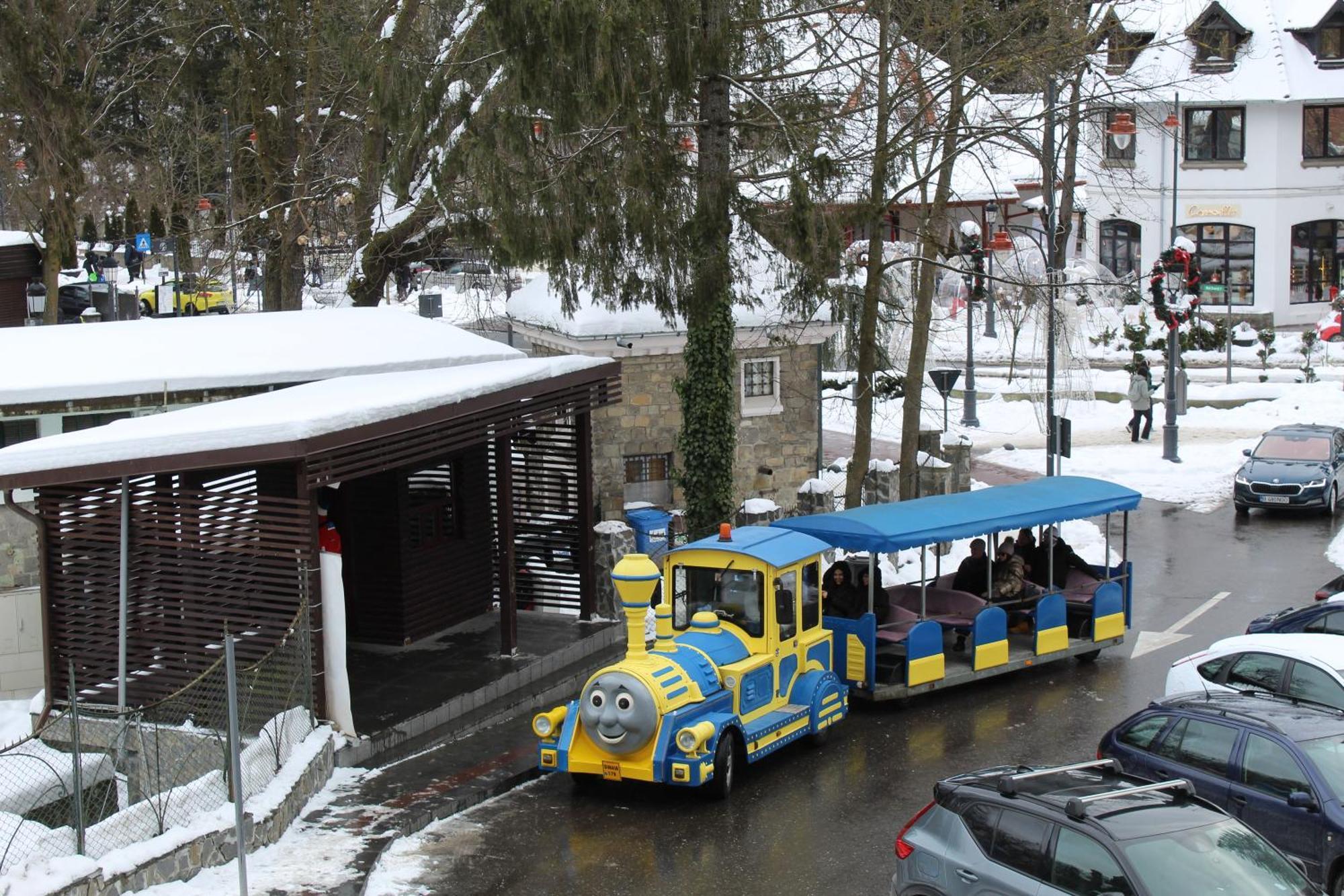Central Park View Sinaia Bagian luar foto