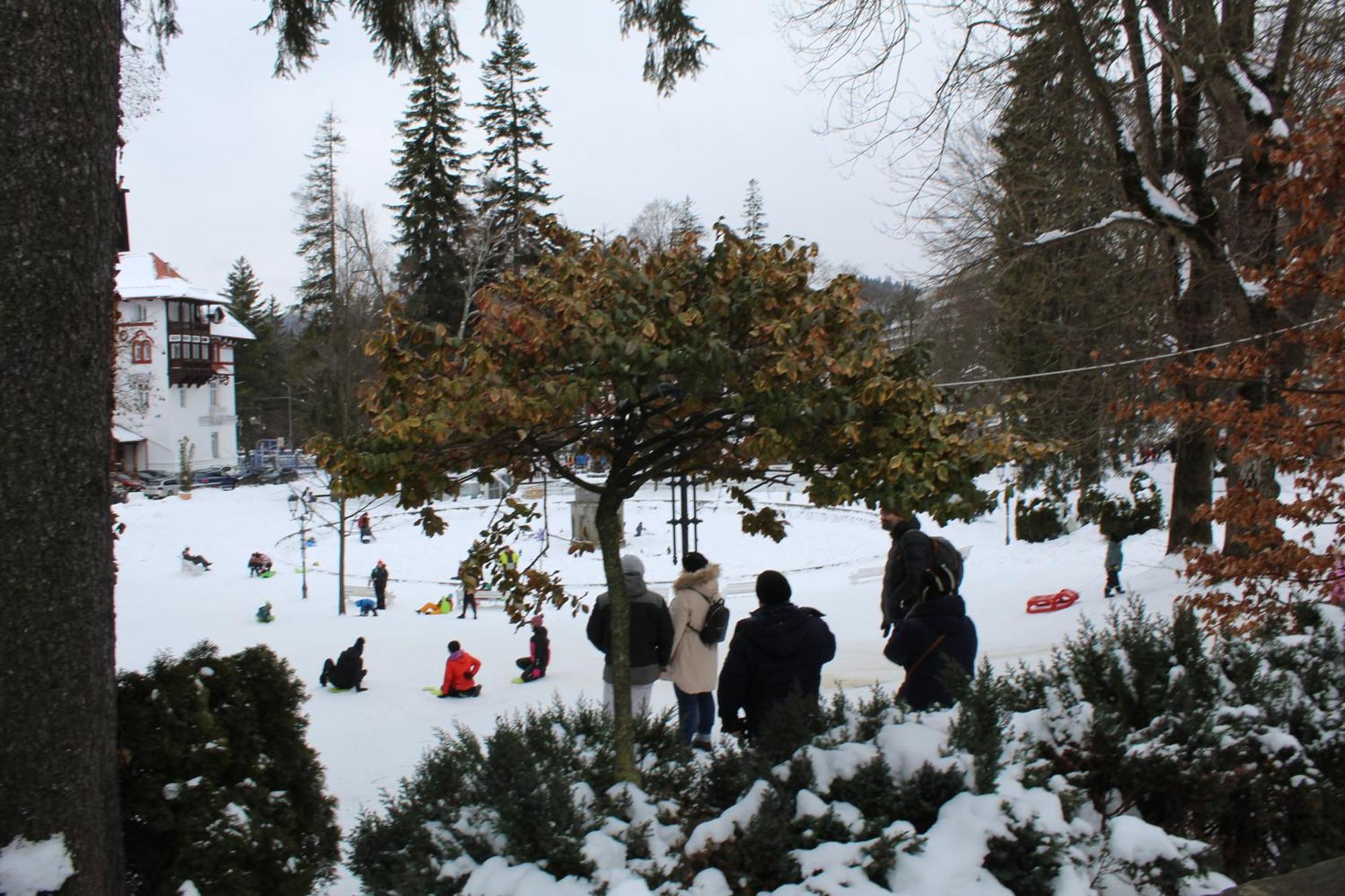 Central Park View Sinaia Bagian luar foto