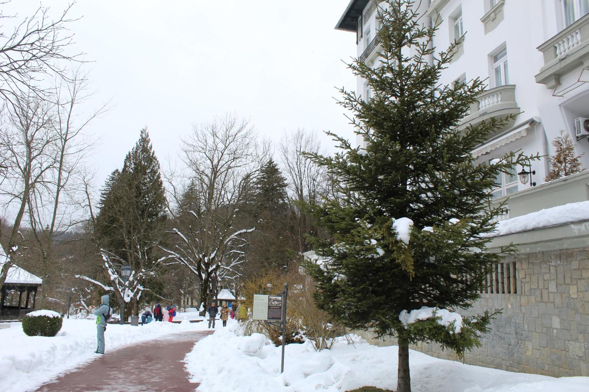 Central Park View Sinaia Bagian luar foto