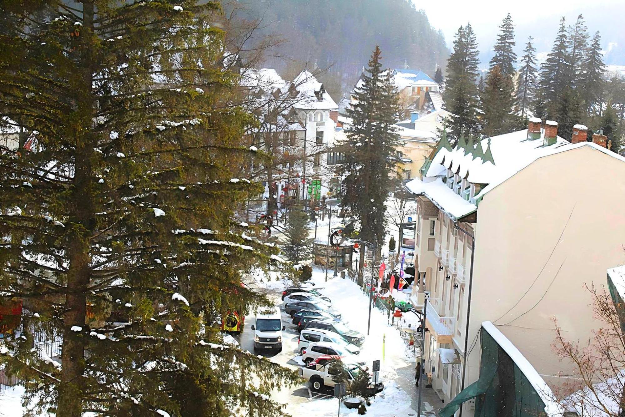 Central Park View Sinaia Bagian luar foto