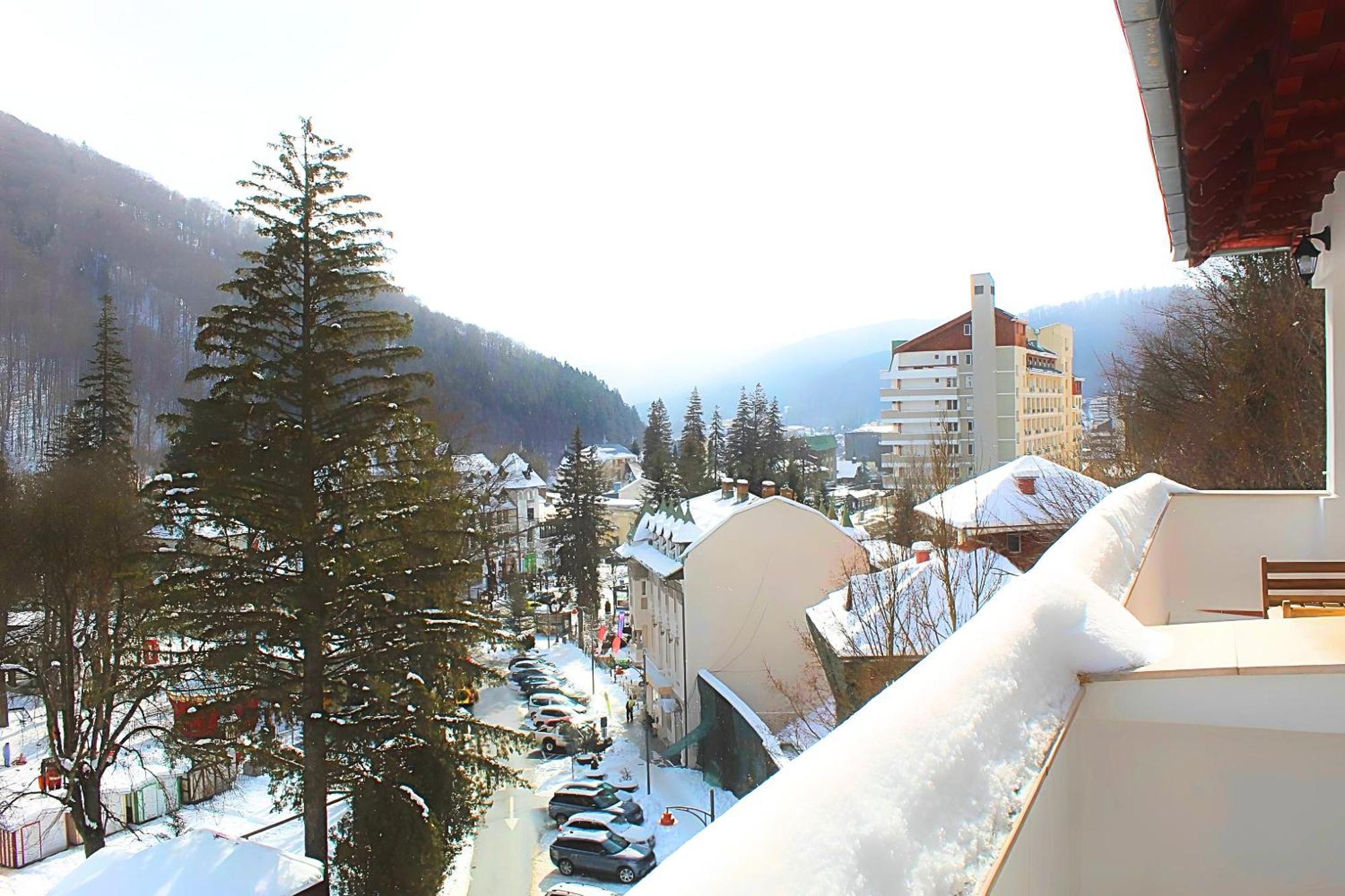Central Park View Sinaia Bagian luar foto