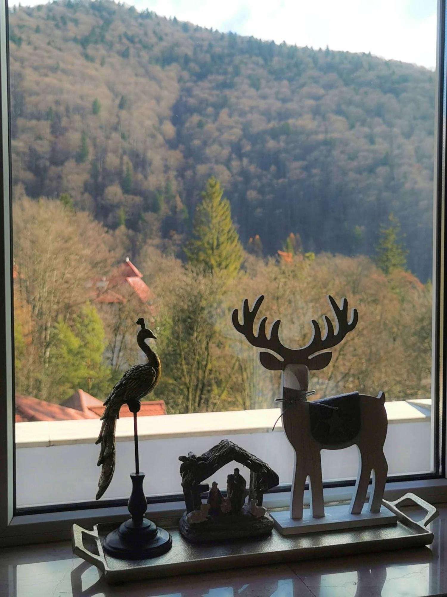 Central Park View Sinaia Bagian luar foto